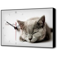 Часы-картина со спящим котом (Время спать) TL-C5022 TIMEBOX