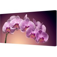 Холст фиолетовая орхидея
