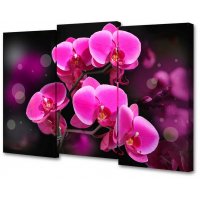 Триптих розовая орхидея
