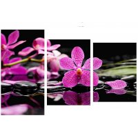 Триптих фиолетовая орхидея